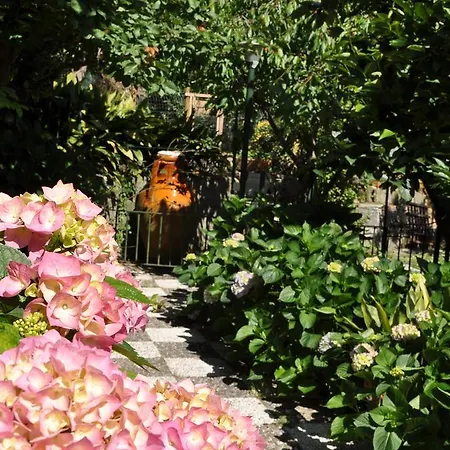 Casa Gaia Bio Vacanze Península Sorrentina