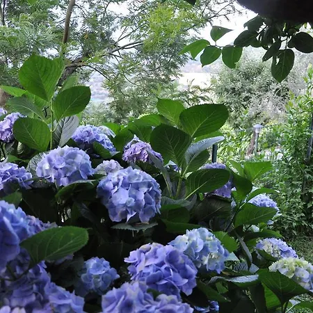 Bed and breakfast Casa Gaia Bio Vacanze *